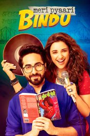Meri Pyaari Bindu (2017) Hindi HD 1080P – 720p – 480p Download & Online Watch
