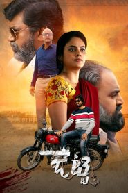 Jetty (2022) Dual Audio [Hindi-Telugu] WEB-DL 1080p – 720p – 480p Download & Online Watch